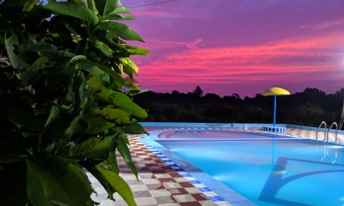 Swimming Pool View at Patang Family Resort