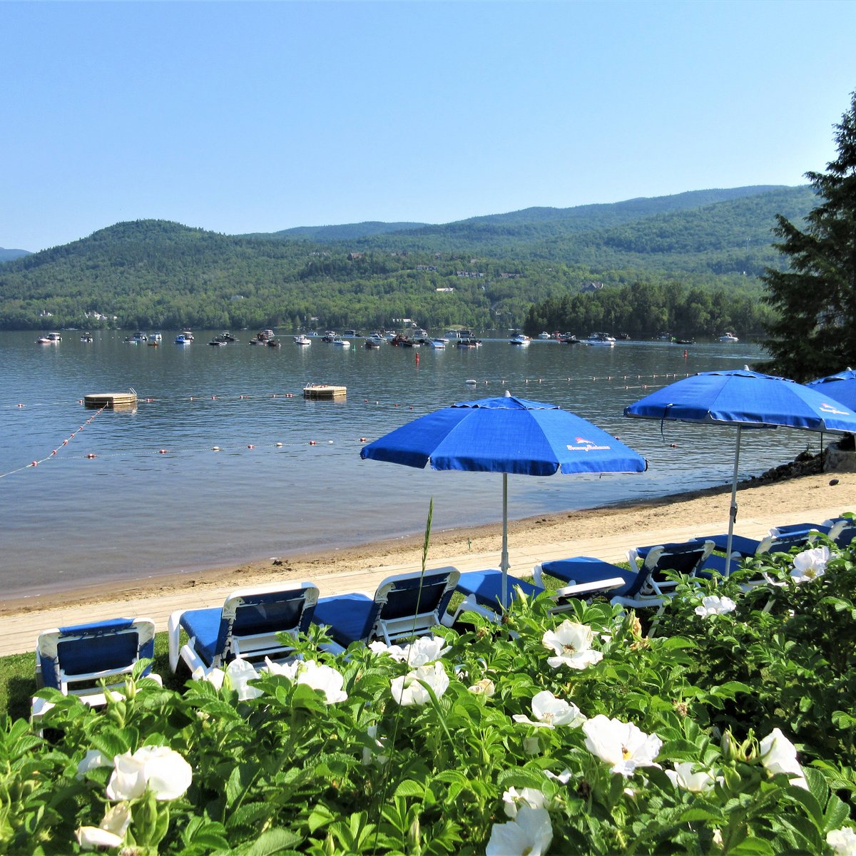 Parc Plage (mont Tremblant) - All You Need To Know Before You Go