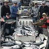Big Blue Charters- Fishing Sitka, Alaska