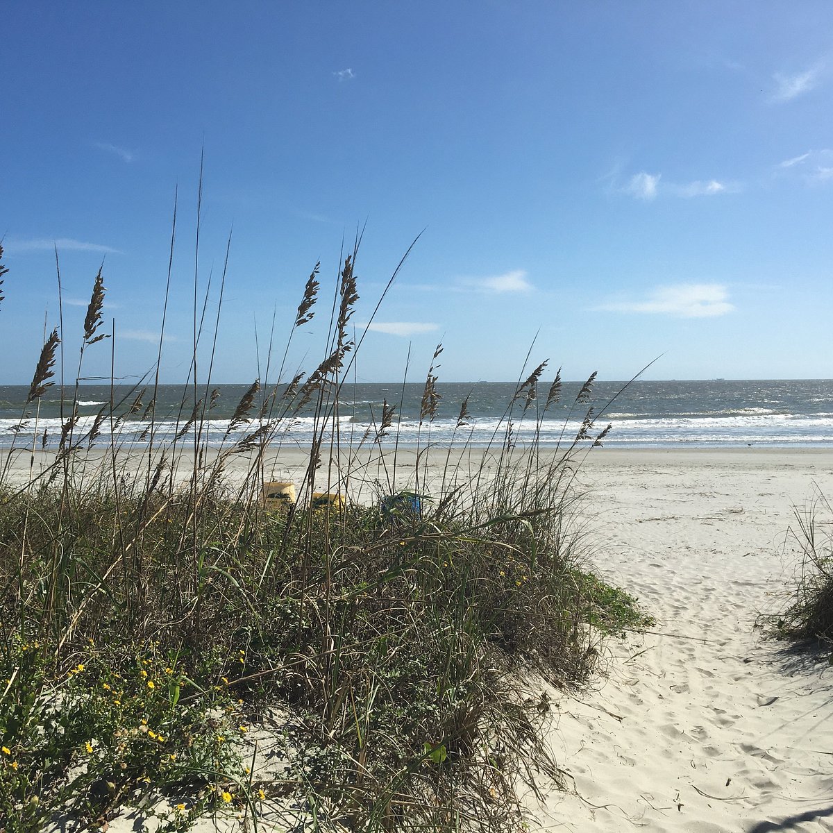 Isle of Palms Beach All You Need to Know BEFORE You Go