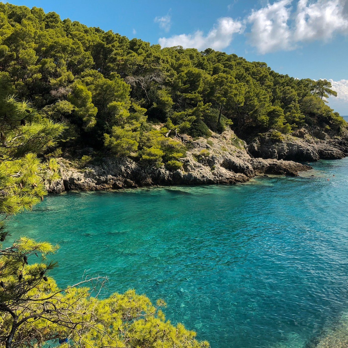 Tremiti Islands: All You Must Know Before You Go (2024) - Tripadvisor