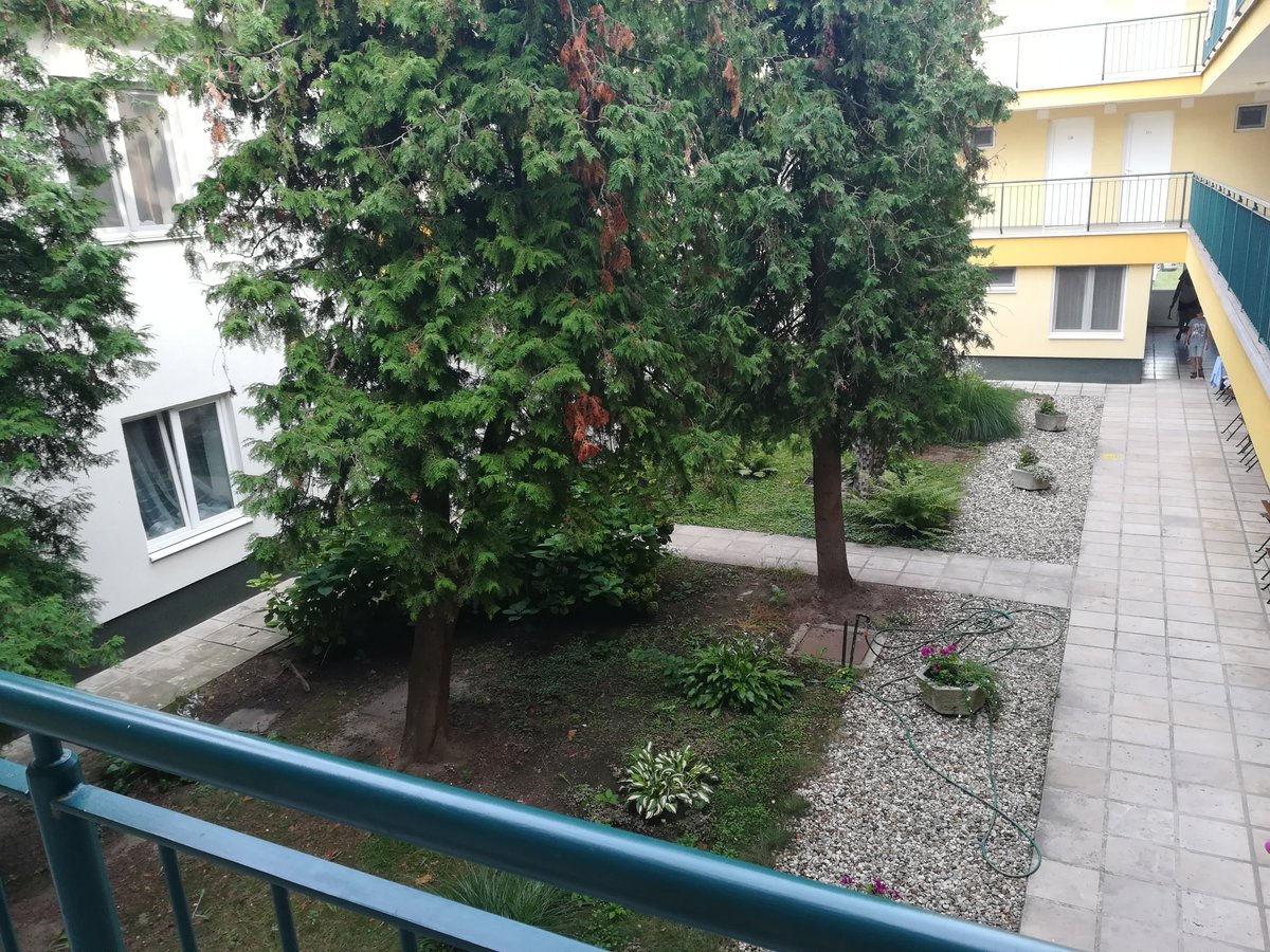 elhanyagolt negatívumok