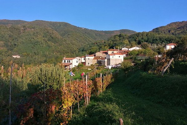 Miglior tajine nei ristoranti di La Spezia, inverno 2024