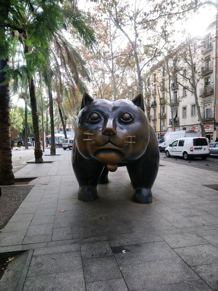 Imagen 5 de Gato de Botero