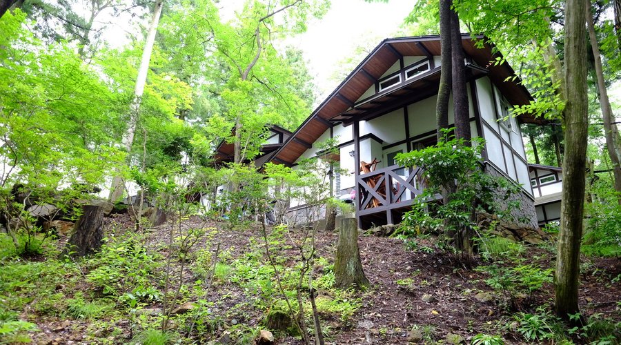 コテージは戸建て１軒１軒が森の中に点在しています。