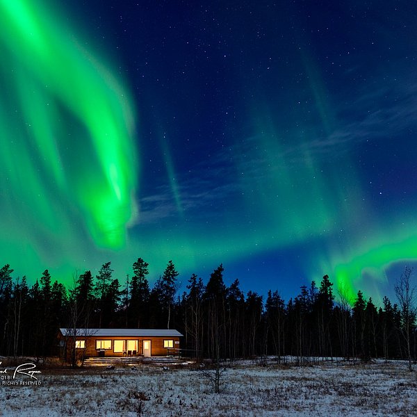 northern lights tour tripadvisor