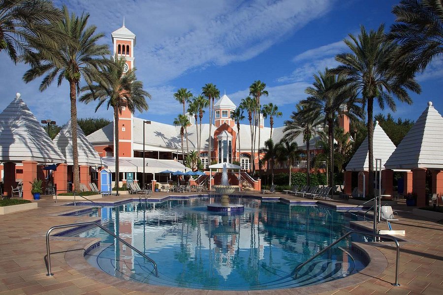 Hilton Grand Vacations at SeaWorld (C̶$̶2̶9̶9̶) C$122 - UPDATED 2021 ...