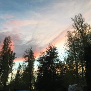 Chilliwack bc