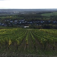 Ausblick