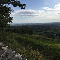 Ausblick
