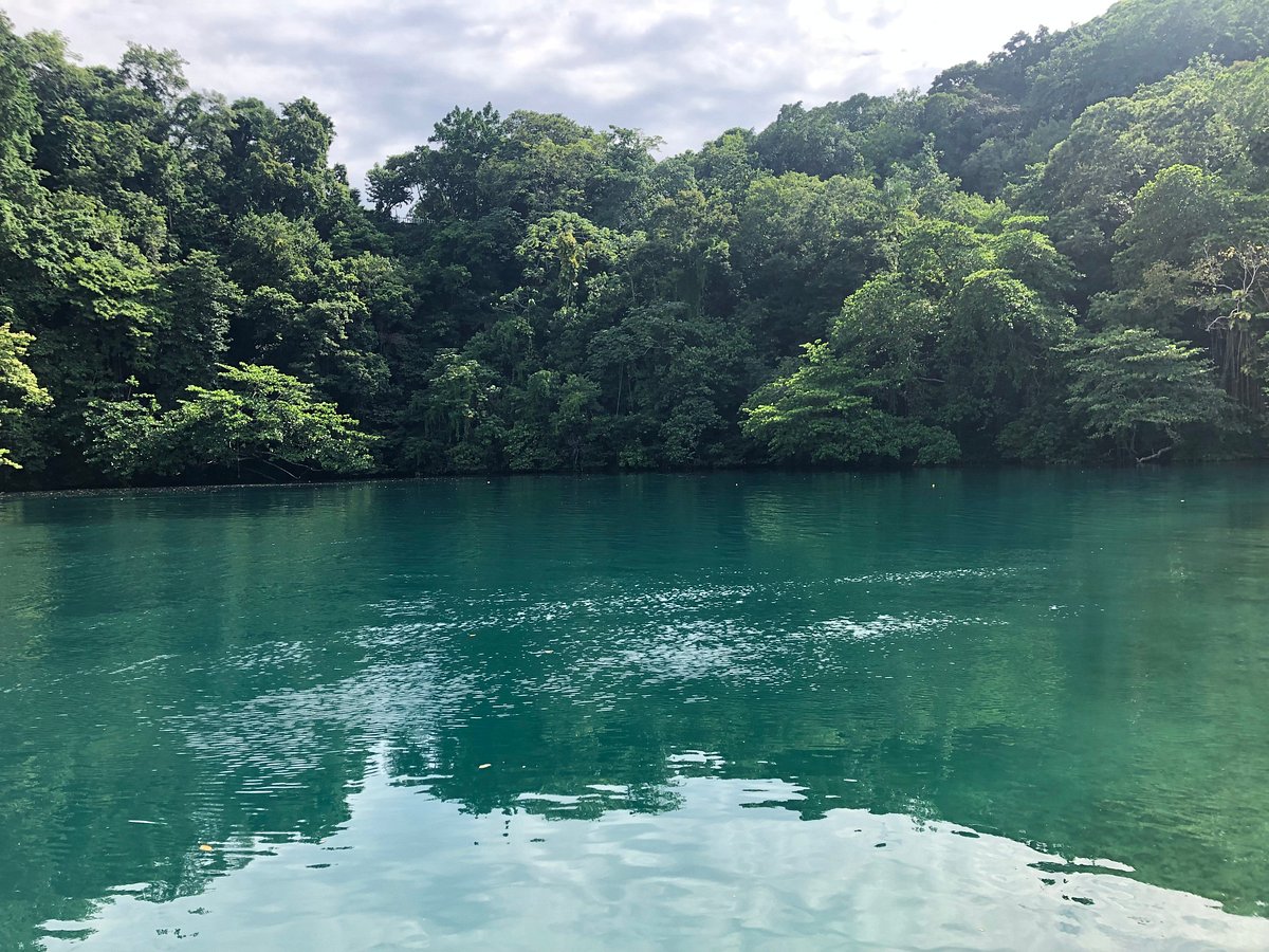 BLUE LAGOON TOURS (PORTLAND) (Port Antonio) - 2022 What to Know BEFORE