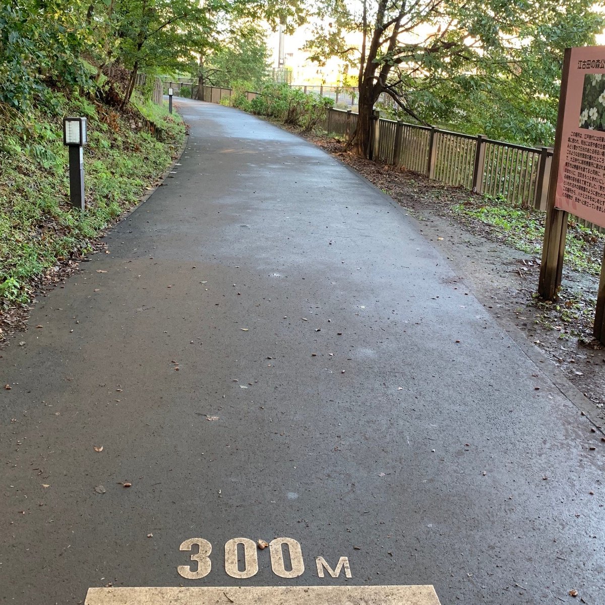 22年 江古田の森公園 行く前に 見どころをチェック トリップアドバイザー