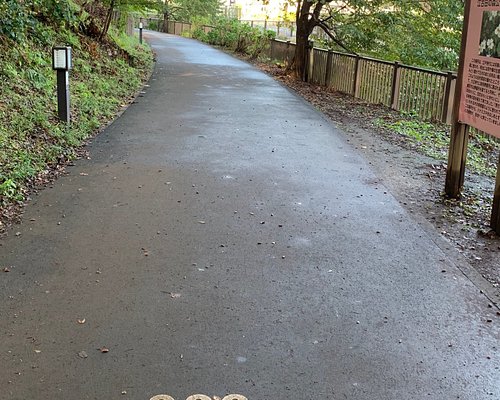 22年 江古田の森公園 行く前に 見どころをチェック トリップアドバイザー