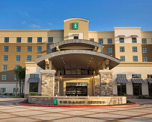 Featured image of post Pet Friendly Hotels Mcallen Tx What are the best pet friendly hotels near mcallen public library