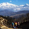 SikkimDarjeelingTrip.com
