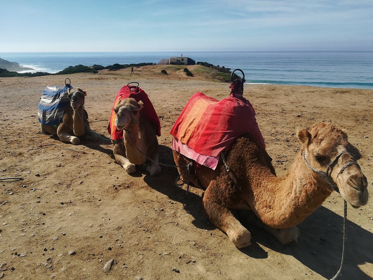 malaga to tangier tours