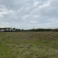 Très bel endroit pour y faire une balade, un footing un petit circuit VTT ou observer les espèces d oiseaux présents sur place ( prévoir les jumelles) elles sont le trait d union entre le camping proche et la plage Prenons soin des Dunes qui sont délimitées