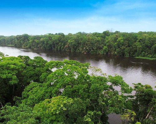 tortuguero boat tours