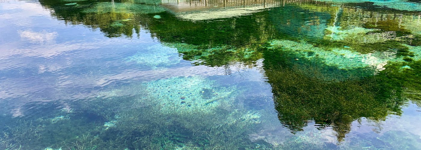 霧島山麓丸池湧水