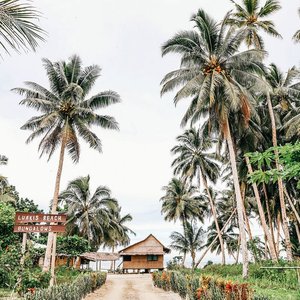getlstd_property_photo