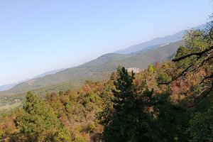 Viaggiatori