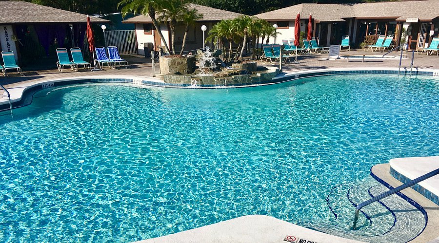 Baja Nudist Pool - CYPRESS COVE NUDIST RESORT - Updated 2021 Prices & Specialty Resort Reviews  (Kissimmee, FL) - Tripadvisor