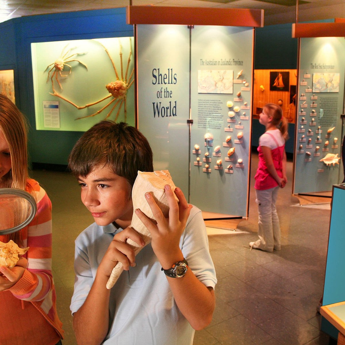 Corpus Christi Museum of Science and History - All You Need to Know BEFORE  You Go (2024)