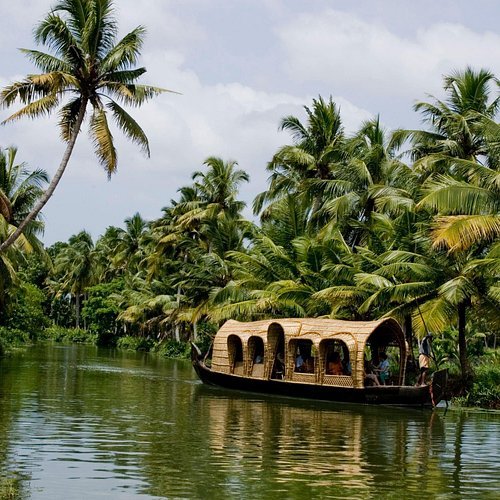 Night fishing in the backwaters of Kerala #india #kerala