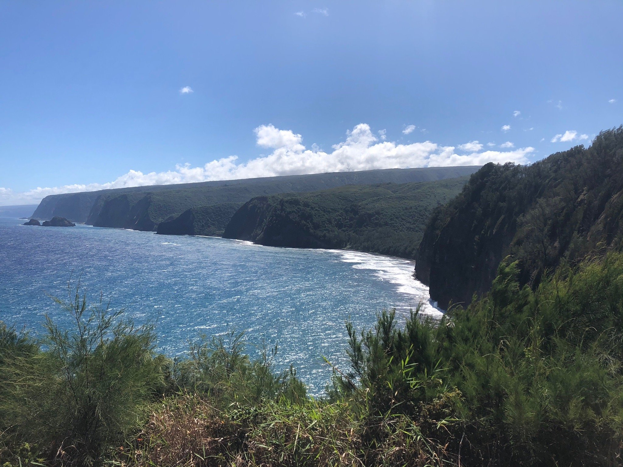 Kohala Waterfalls Adventure - All You Need to Know BEFORE You Go (2025)