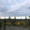 10 Nature & Wildlife Tours in Ylläs That You Shouldn't Miss