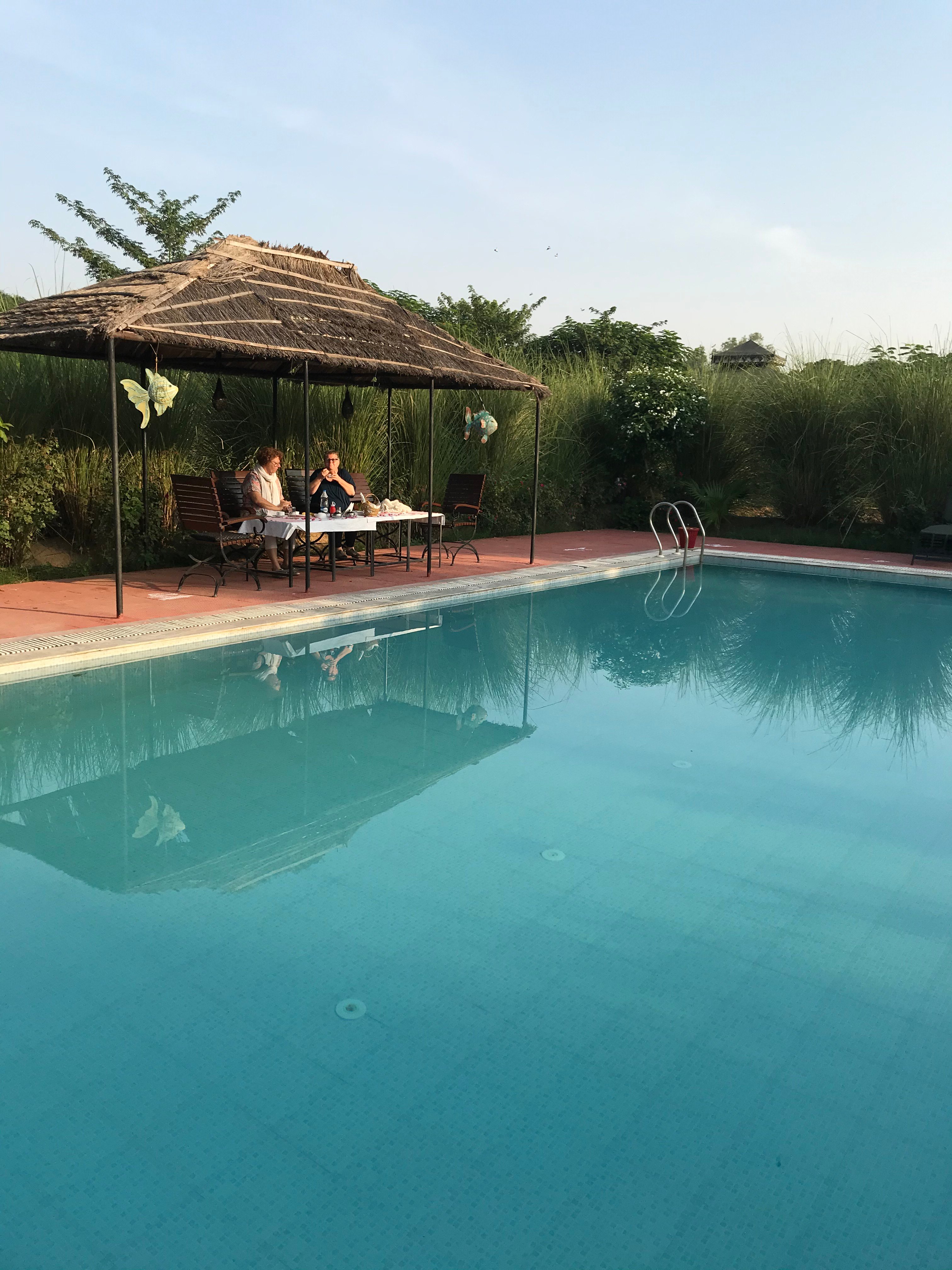 MAA ASHAPURA FARM STAY HOTEL-RANTHAMBORE RESORT B&B (Ranthambore ...