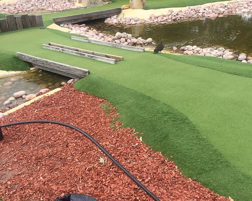 Oasis Supa Golf and Adventure Putt Miniature Golf: All You Need to Know  BEFORE You Go (with Photos)