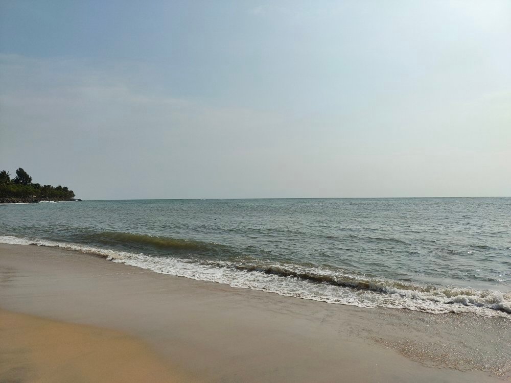 Munambam Beach - All You Need To Know BEFORE You Go (2024)