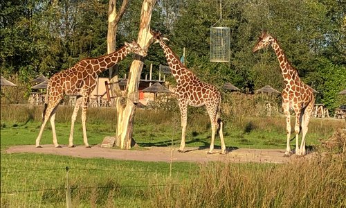 Overloon, The Netherlands 2024: Best Places to Visit - Tripadvisor