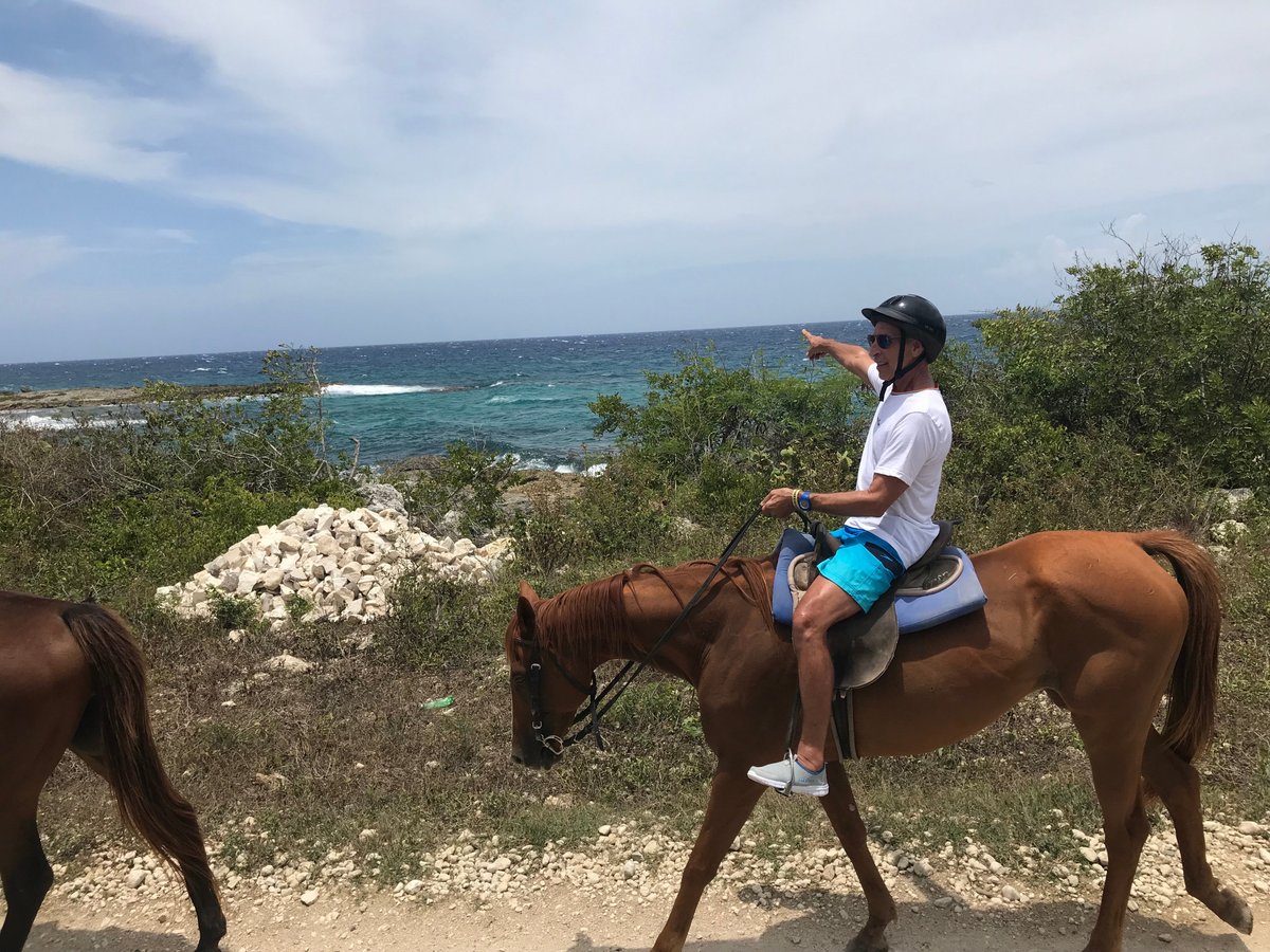 JusTours Jamaica - Horseback Ride 'n' Swim Tour (Lucea) - All You Need ...