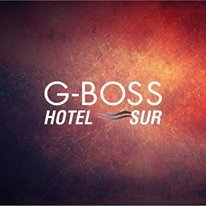 Imagen 21 de G-Boss Hotel Sur