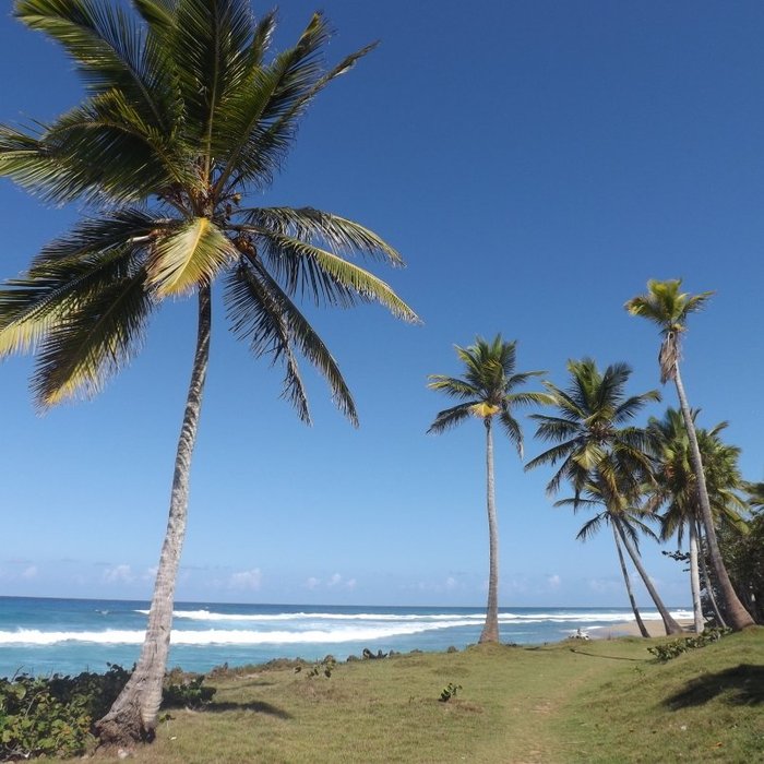 CABARETE BOUTIQUE ECOLODGE BEACHFRONT: See Hotel Reviews, Price ...