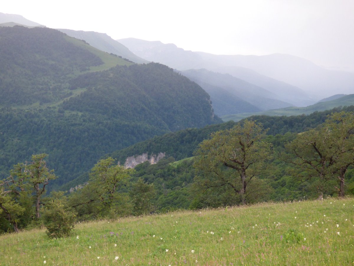 АПАГА РЕЗОРТ (Енокаван) - отзывы, фото и сравнение цен - Tripadvisor