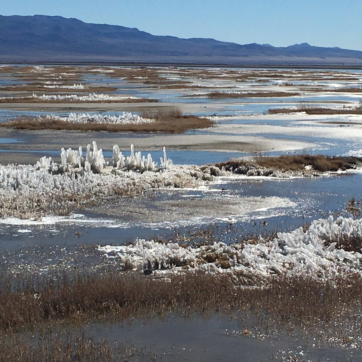 OWENS LAKE (Inyo County) 2023 tutto quello che c'è da sapere