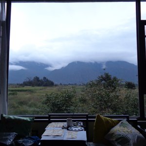 The window in my room.