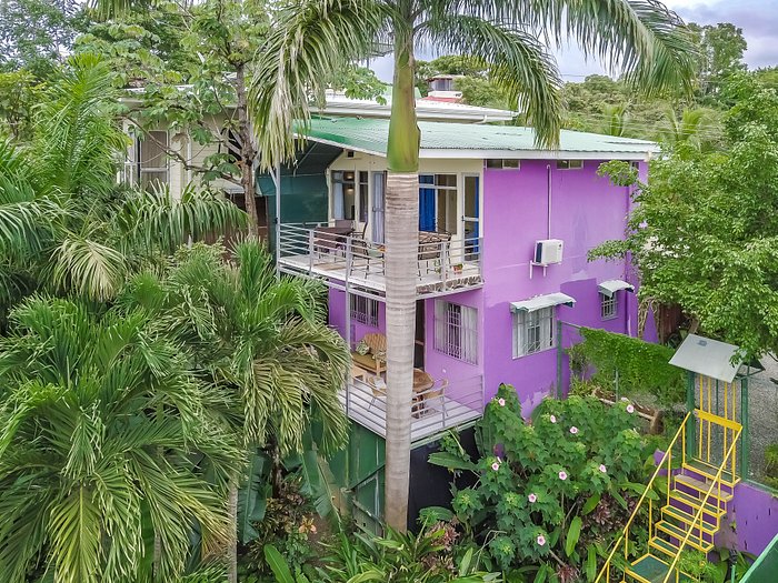 BIRD OF PARADISE HOTEL $113 ($̶1̶1̶9̶) - Updated 2023 Prices & Lodging  Reviews - Costa Rica/Jaco