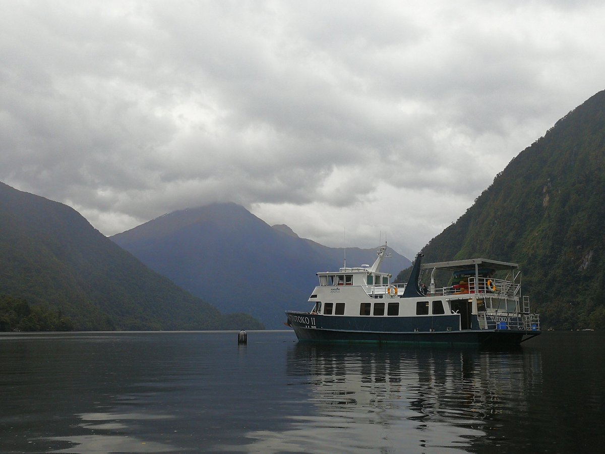 Southern Secret Doubtful Sound Overnight Cruise, Те-Анау: лучшие советы  перед посещением - Tripadvisor