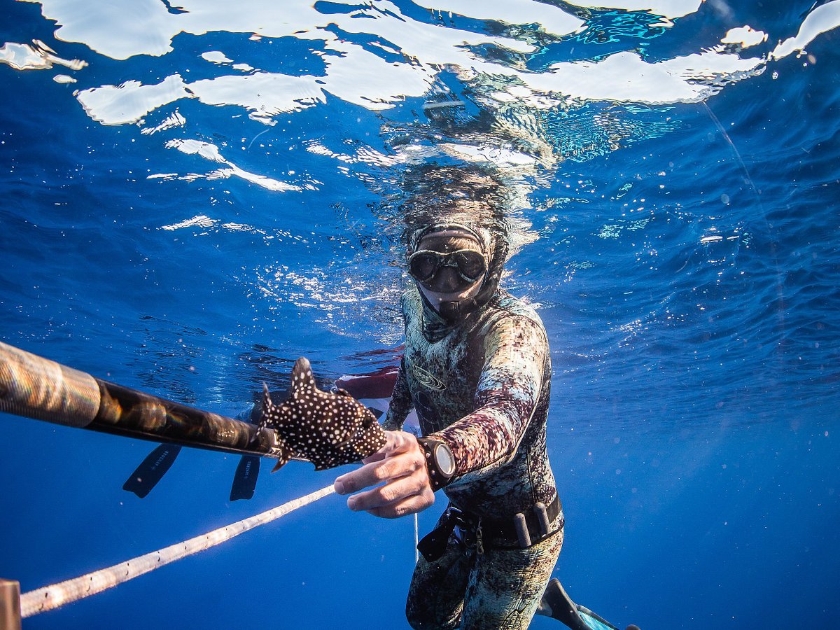 19 Hawaii Spearfishing ideas  spearfishing, hawaii, diving