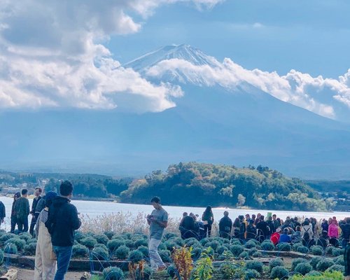 100+ Tokyo Pictures [Scenic Travel Photos]