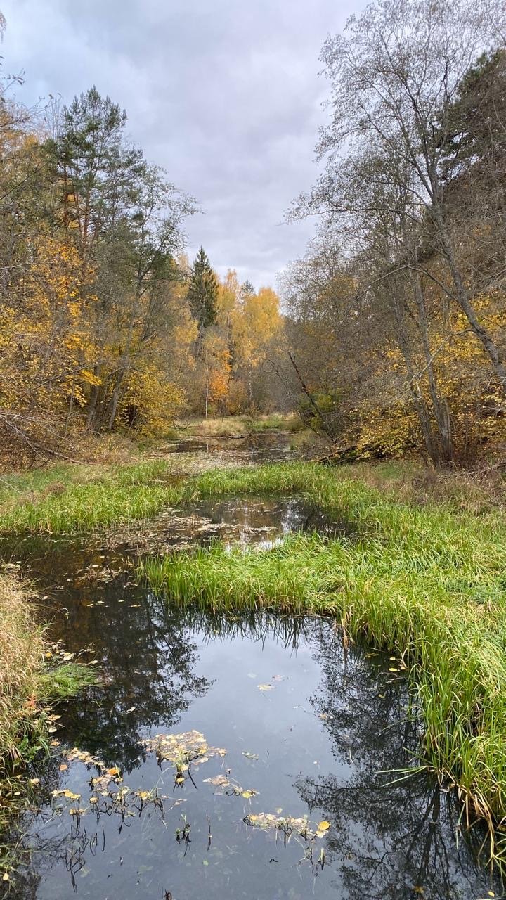 САНАТОРИЙ ИМ. Н.М. ПРЖЕВАЛЬСКОГО (Пржевальское) - отзывы и фото -  Tripadvisor