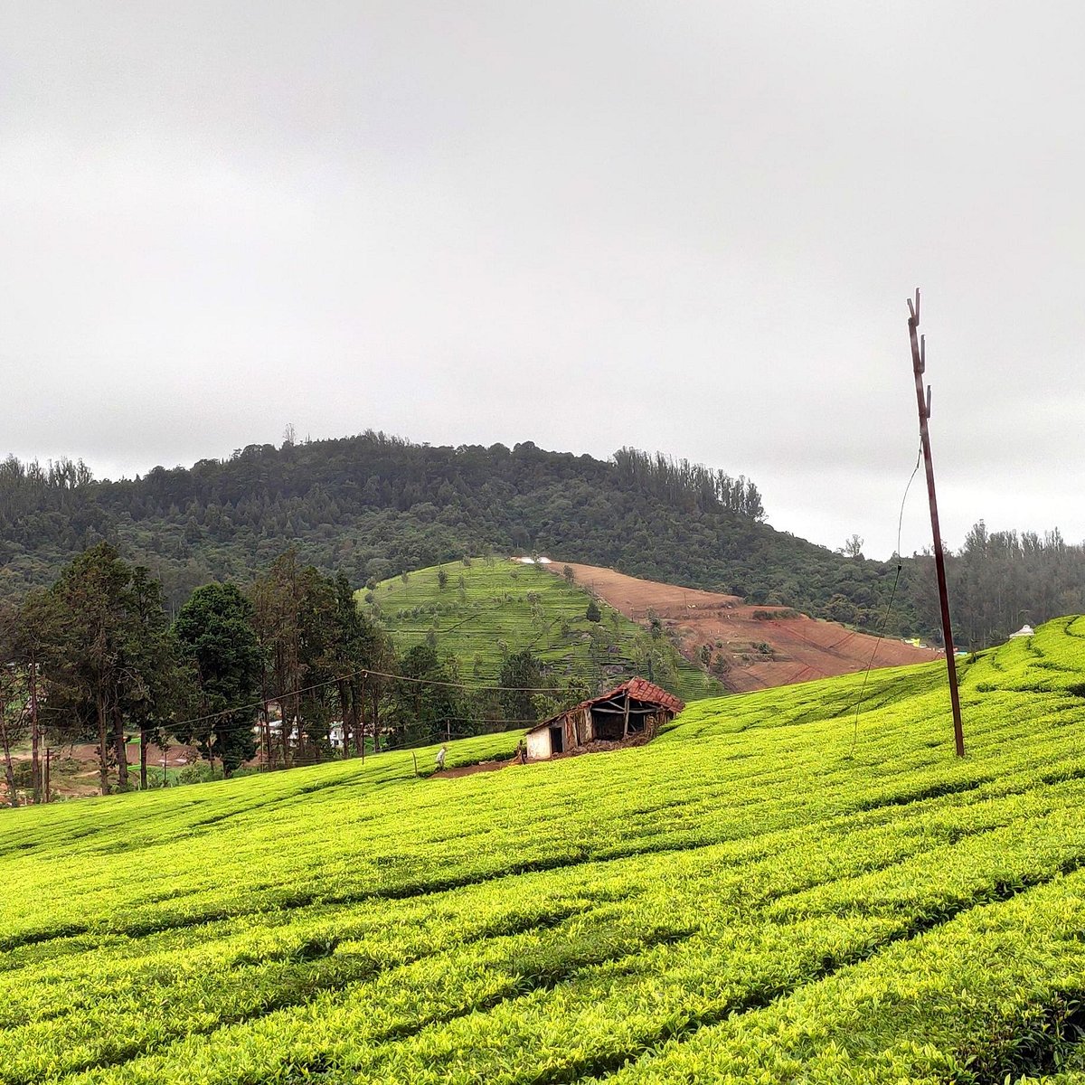 my ooty tours reviews
