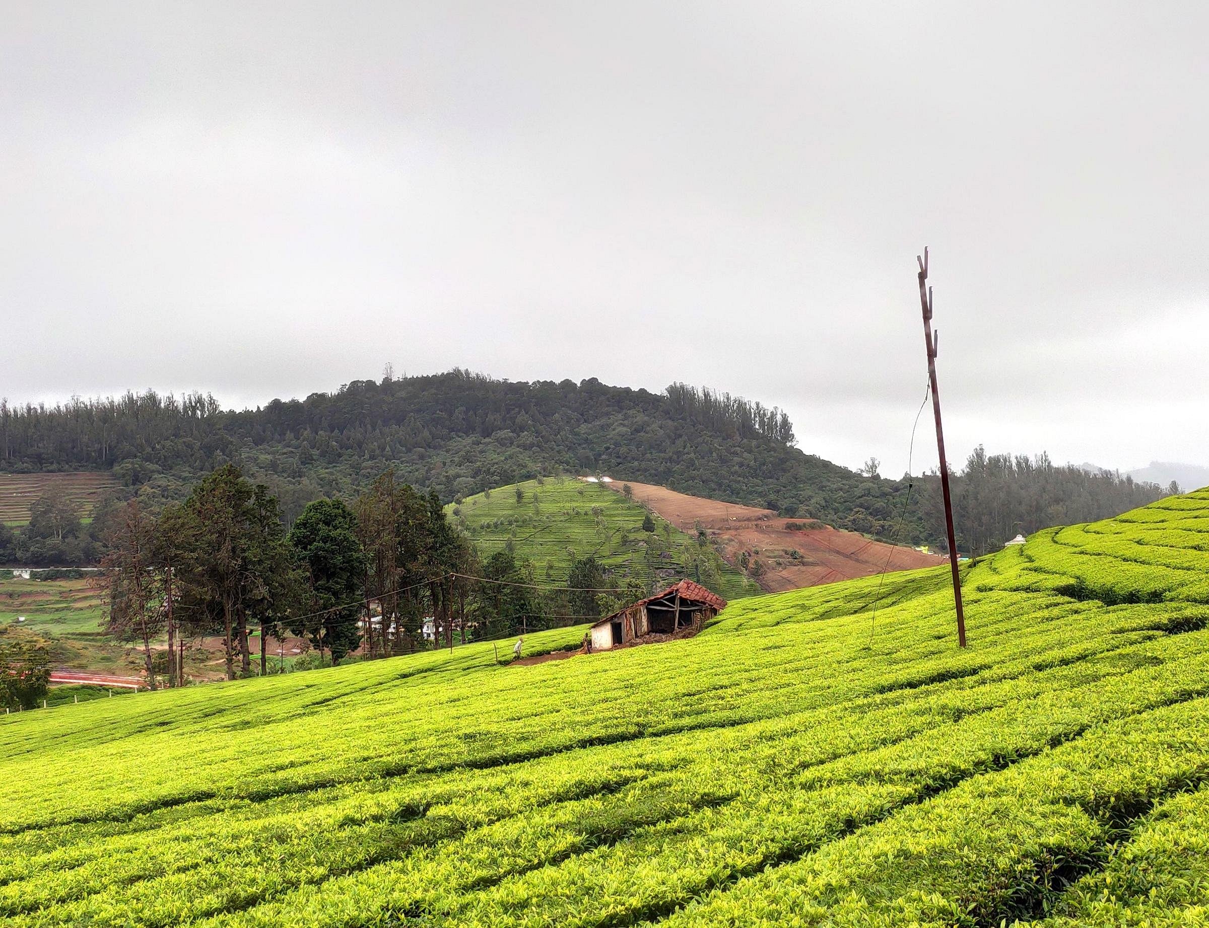 my ooty tours reviews