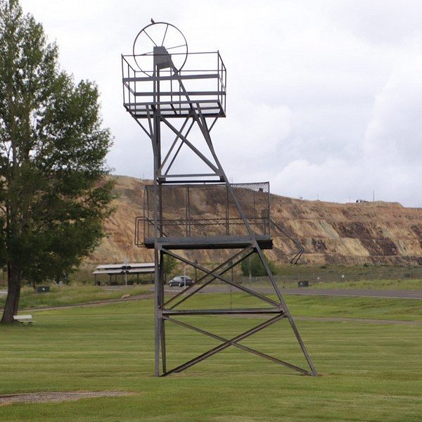 McGruff - Manning Memorial Park image