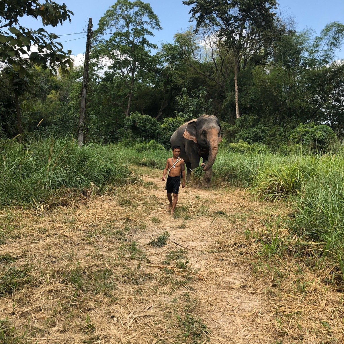 Maerim Elephant Home (mae Rim) - All You Need To Know Before You Go