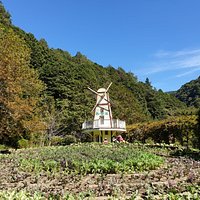 花卉中心